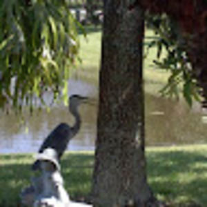 Meet your Posher, Peter